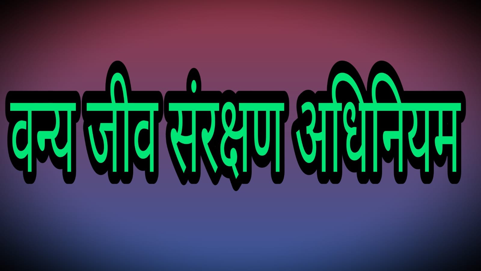 वन्यप्राणी कछुआ एवं रेडसेंडबोआ सांप की तस्करी करने वाले गिरोह के 5 सदस्य गिरफ्तार