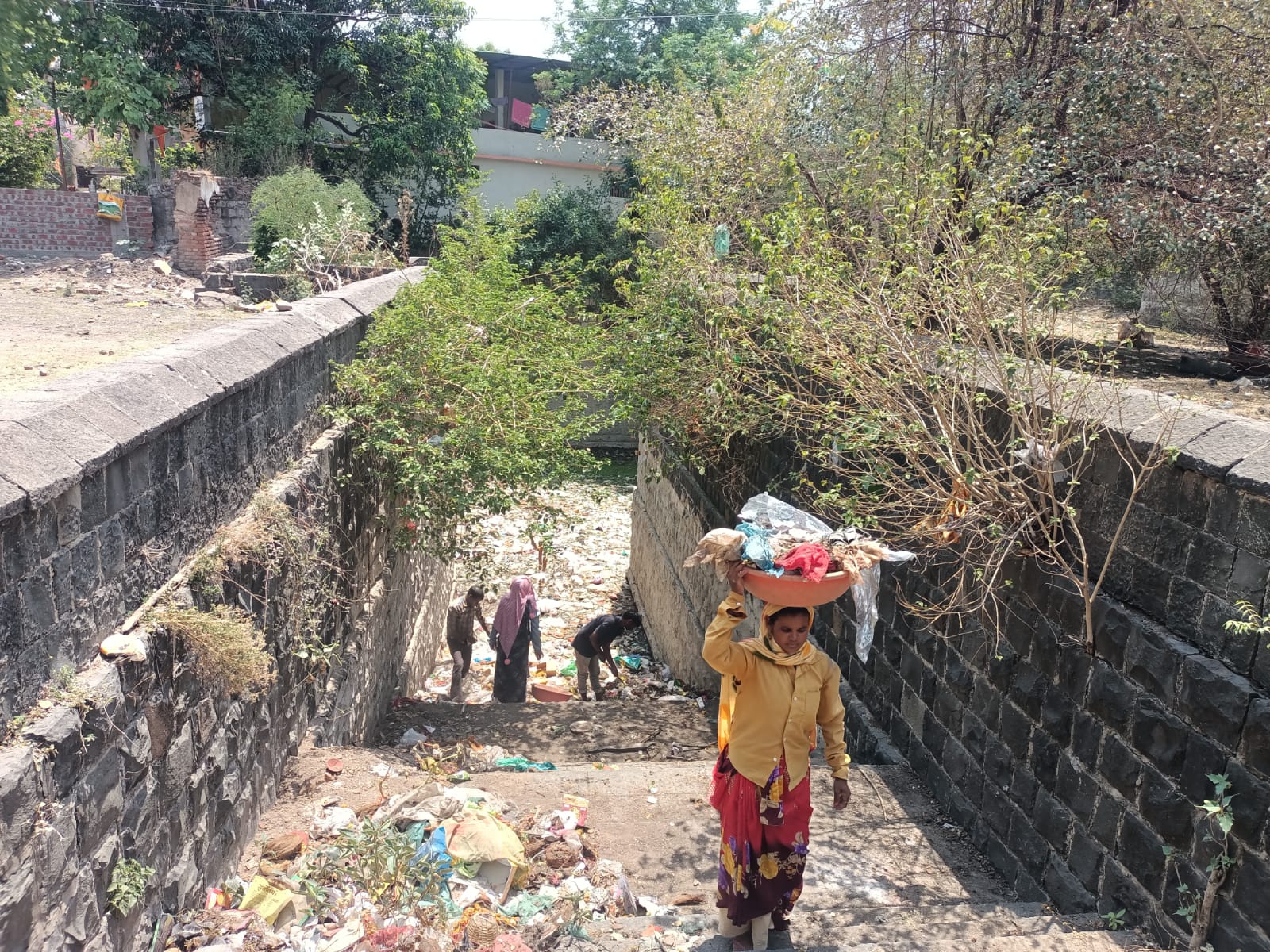 नगर निगम करेगी रूफ वॉटर हार्वेस्टिंग के प्रति शहरवासियों को जागरूक