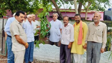 Cm rise school