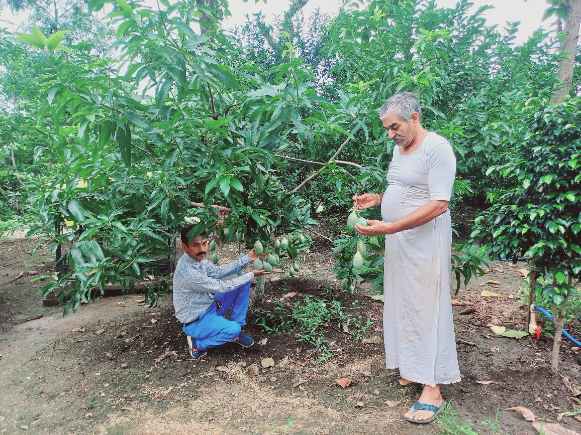 खुशियों की दास्‍तां: मुकुंदगढ़ के किसान अजय उद्यानिकी फसलों का उत्पादन कर प्राप्त कर रहे अच्‍छी आमदनी