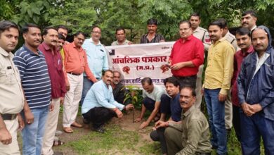 आंचलिक पत्रकार संघ