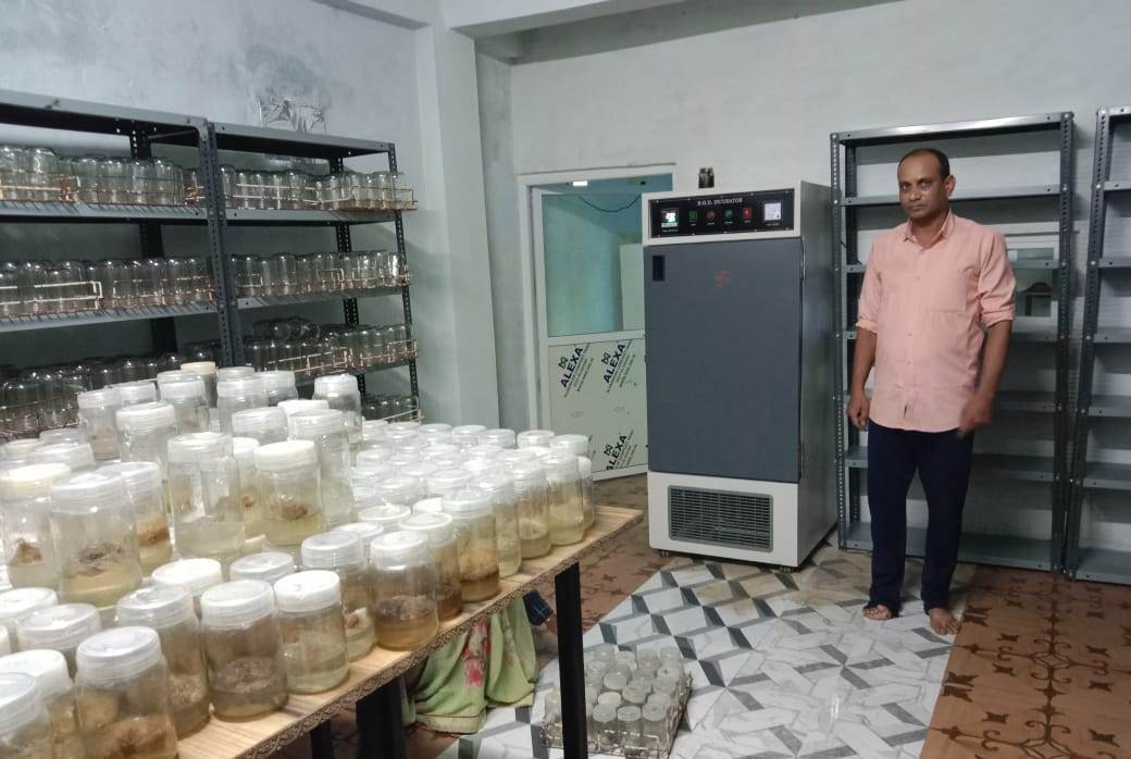 प्रधानमंत्री रोजगार सृजन कार्यक्रम योजना