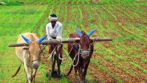 Indian farmer