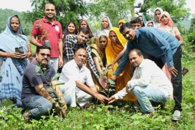 वन्य प्राणियों के लिए फलदार पौधों का रोपण किया, जंगल में 35 हजार बीज फैलाए