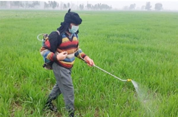 spraying pesticides