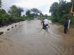 gunera guneri river