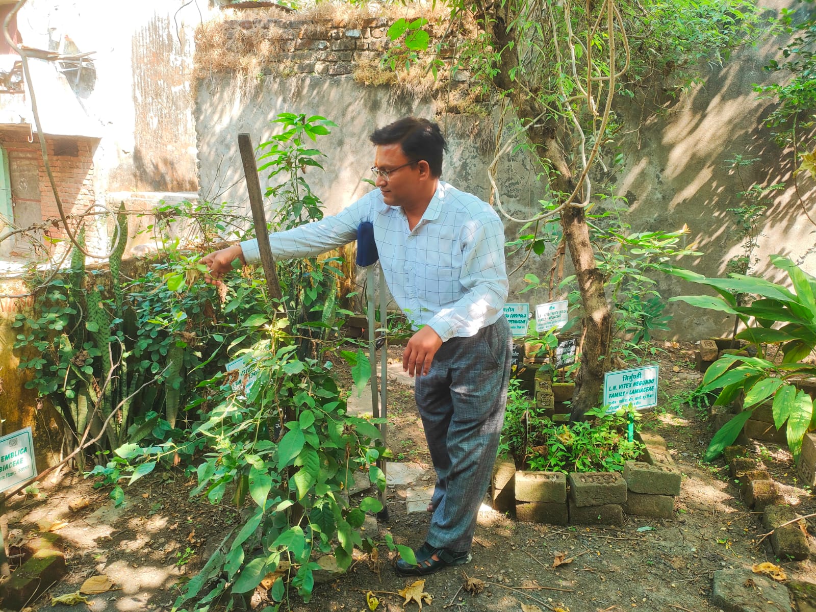 धन्वन्तरि जयंती पर विशेष: आयुष विंग के छोटे से परिसर में है सेहत का खजाना