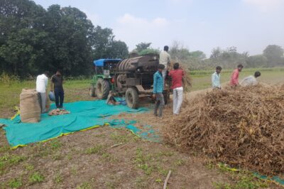 सोयाबीन के कम उत्पादन ने बढ़ाई किसानों की चिंता