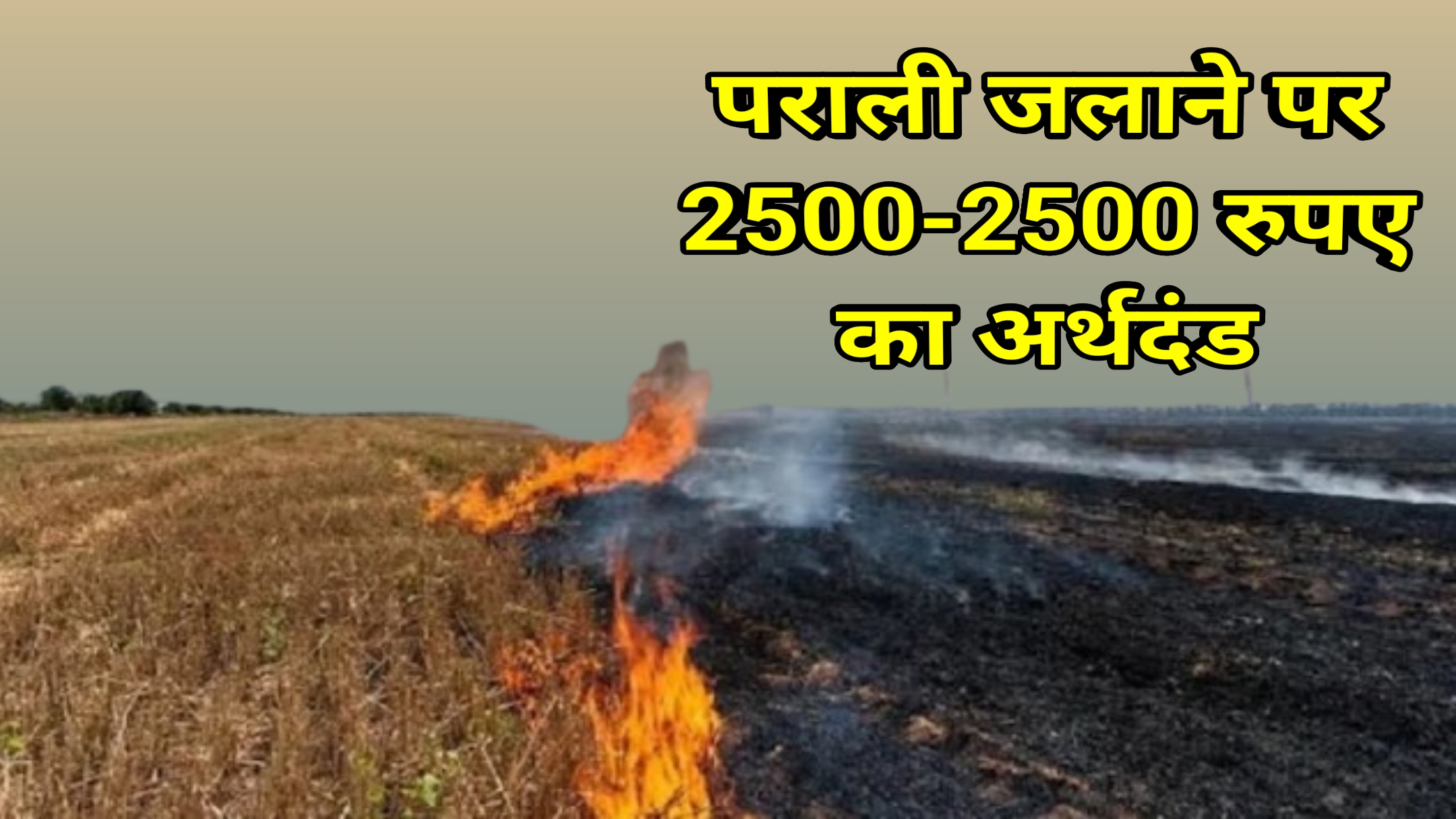 पराली जलाने के नुकसान