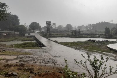 मौसम में बदलाव से किसानों के चेहरे खिले, मावठा गिरने से फसलों को राहत