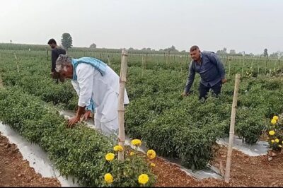 उद्यानिकी विभाग की योजना का लाभ लेकर किसान संदीप जाट ने कृषि को बनाया लाभ का धंधा