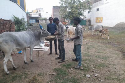 परंपरागत उत्साह के वातावरण में मनाया संक्रांति पर्व