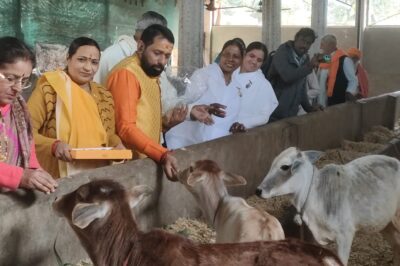 गोशाला में गायों को खिलाया चारा और गुड़, संतों को भेंट किए कंबल, लिया आशीर्वाद