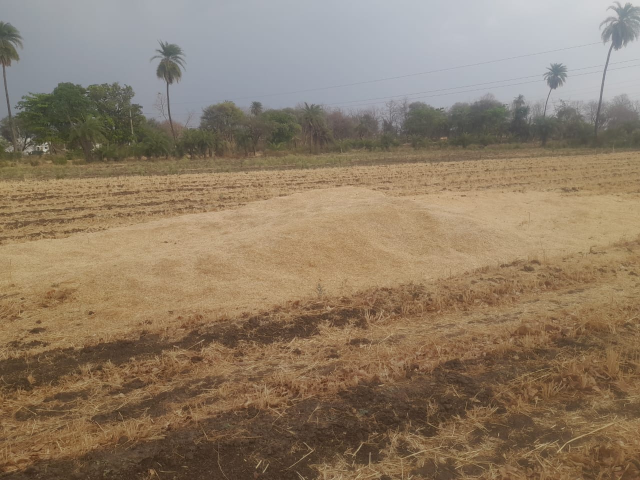 चारा भूसा