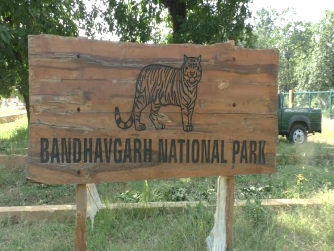 Bandhavgarh Tiger Reserve