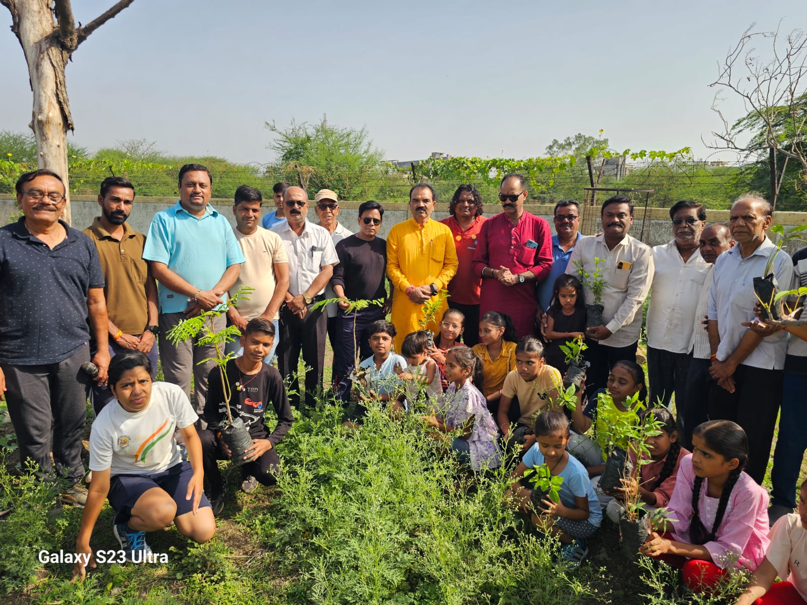 पौधारोपण