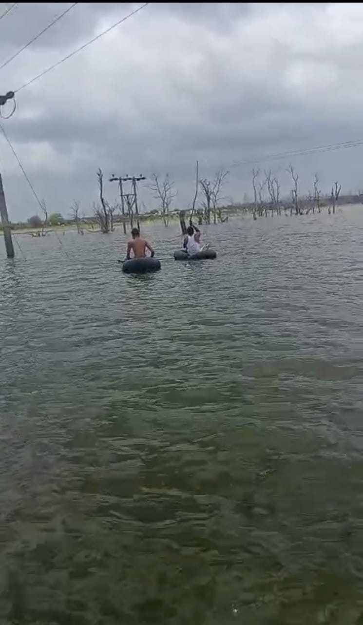 बिजली कंपनी