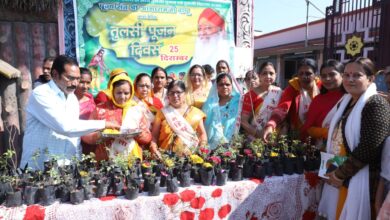 तुलसी पूजन देवास