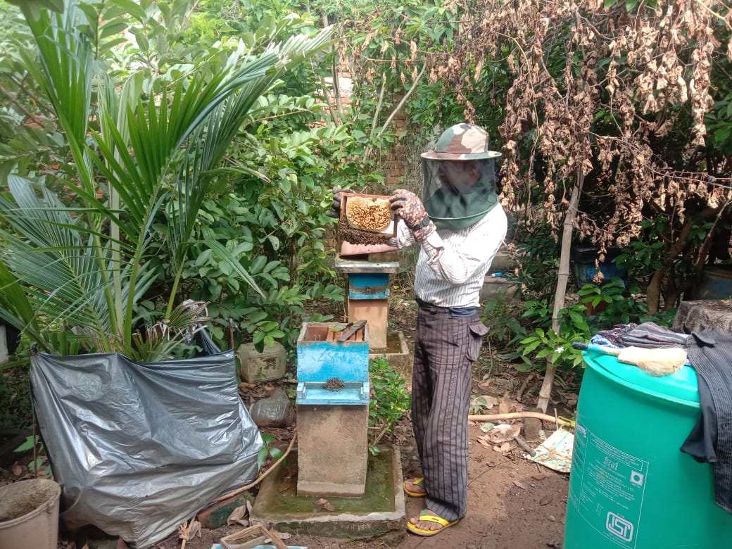 Beekeeping
