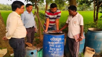 प्राकृतिक खेती