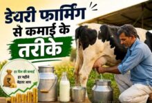 डेयरी फार्मिंग से कमाई दिखाता चित्र जिसमें गाय, दूध की बाल्टी और फार्म का दृश्य शामिल है