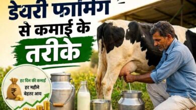 डेयरी फार्मिंग से कमाई दिखाता चित्र जिसमें गाय, दूध की बाल्टी और फार्म का दृश्य शामिल है