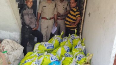 इंदौर के विधुर नगर में कार्रवाई के दौरान जब्त की गई अवैध भांग।