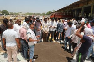 नीमच की हर्बल मंडी में उपज की नीलामी।