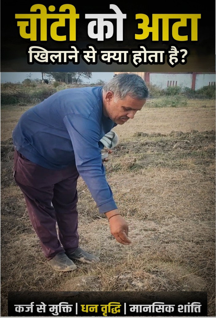 किसान जगदीश नागर द्वारा चींटियों को घी और शक्कर मिला आटा खिलाने का दृश्य