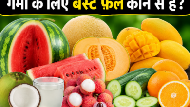 गर्मी के मौसम में तरबूज, खरबूजा, आम, संतरा, लीची और नारियल पानी जैसे हाइड्रेटिंग फल