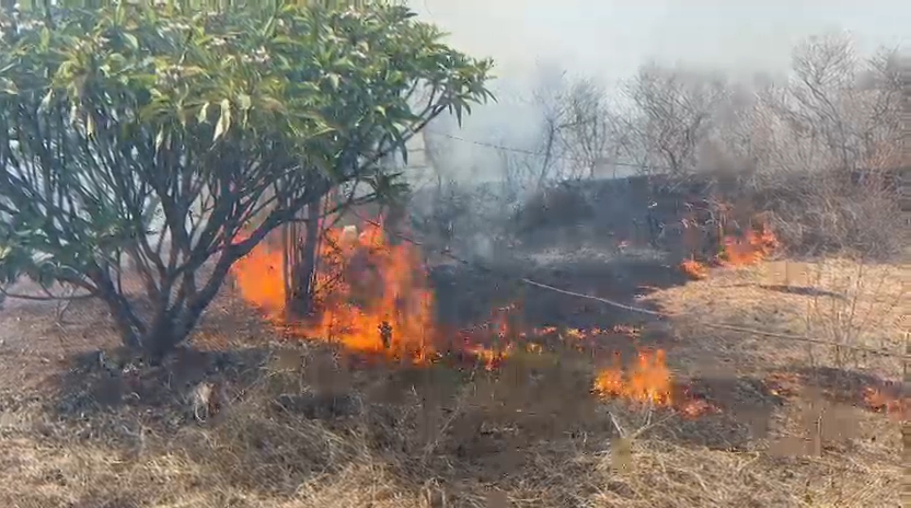 देवास की माता टेकरी पर लगी भीषण आग का दृश्य।