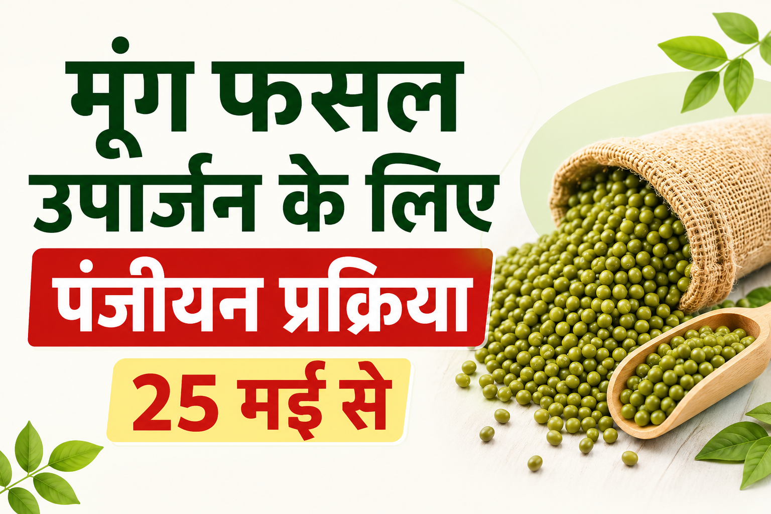 मूंग फसल उपार्जन पंजीयन प्रक्रिया से संबंधित प्रतीकात्मक तस्वीर।
