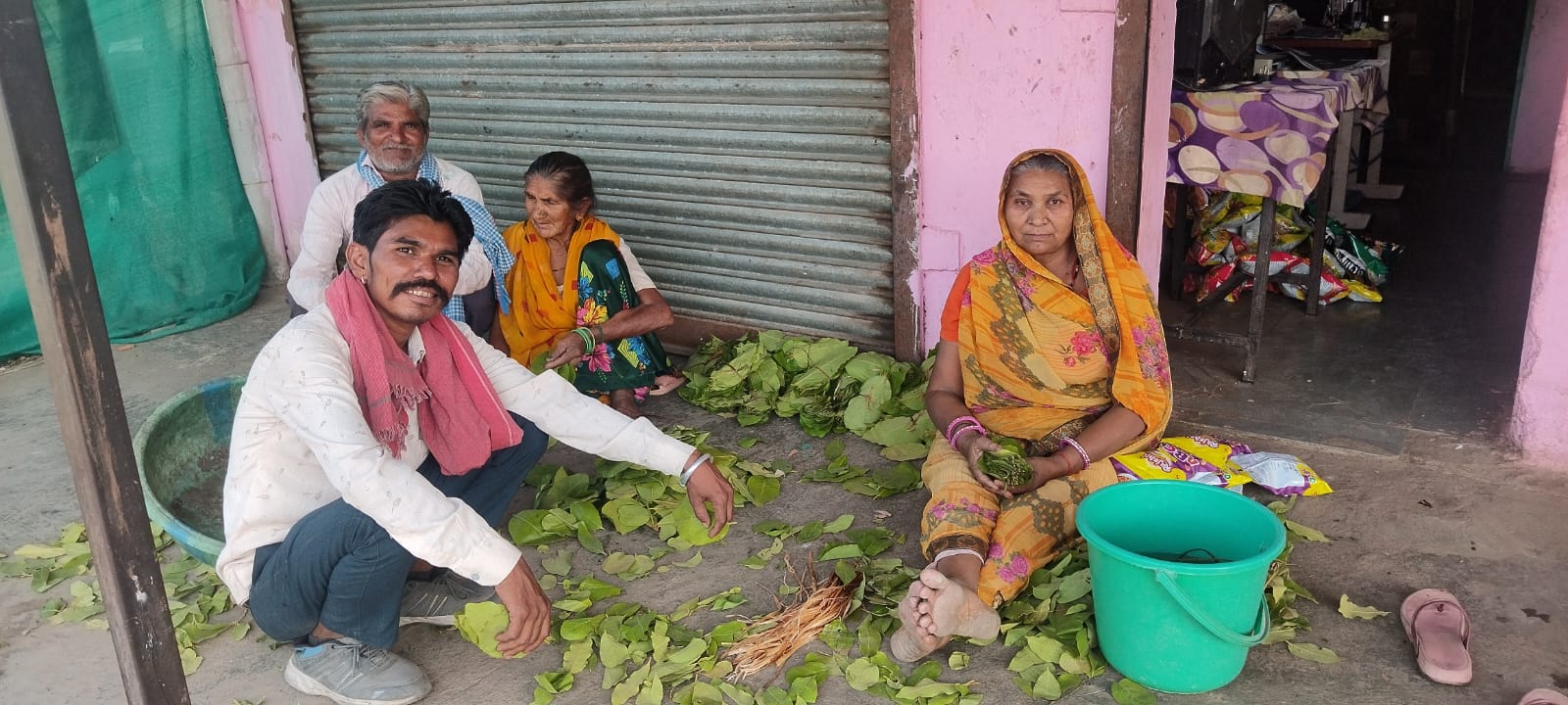 पुंजापुरा क्षेत्र के जंगल में तेंदूपत्ता संग्रहण करते श्रमिक
