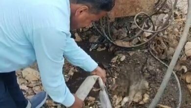 देवास में ट्रांसफार्मर की अर्थिंग को ठंडा करने के लिए पानी डालते बिजली कर्मचारी।