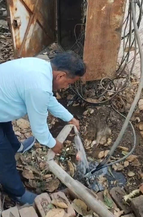 देवास में ट्रांसफार्मर की अर्थिंग को ठंडा करने के लिए पानी डालते बिजली कर्मचारी।