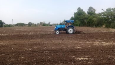 प्री मानसून बारिश के बाद सिरोल्या क्षेत्र में खेतों की हकाई करते किसान