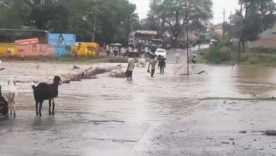 बेहरी में गुनेरा नदी के उफान पर आने से रपटे पर मवेशियों के साथ ग्रामीण और बाइक सवार पानी उतरने का इंतजार करते हुए।