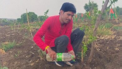 धर्मेंद्र राजपूत बोतल से पौधे में पानी डालकर उसकी देखभाल करते हुए