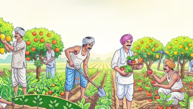 खेत में कार्य करते हुए किसान।