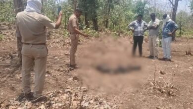 रातातलाई फॉरेस्ट में मानव कंकाल की जानकारी मिलने पर जांच करते हुए पुलिस।