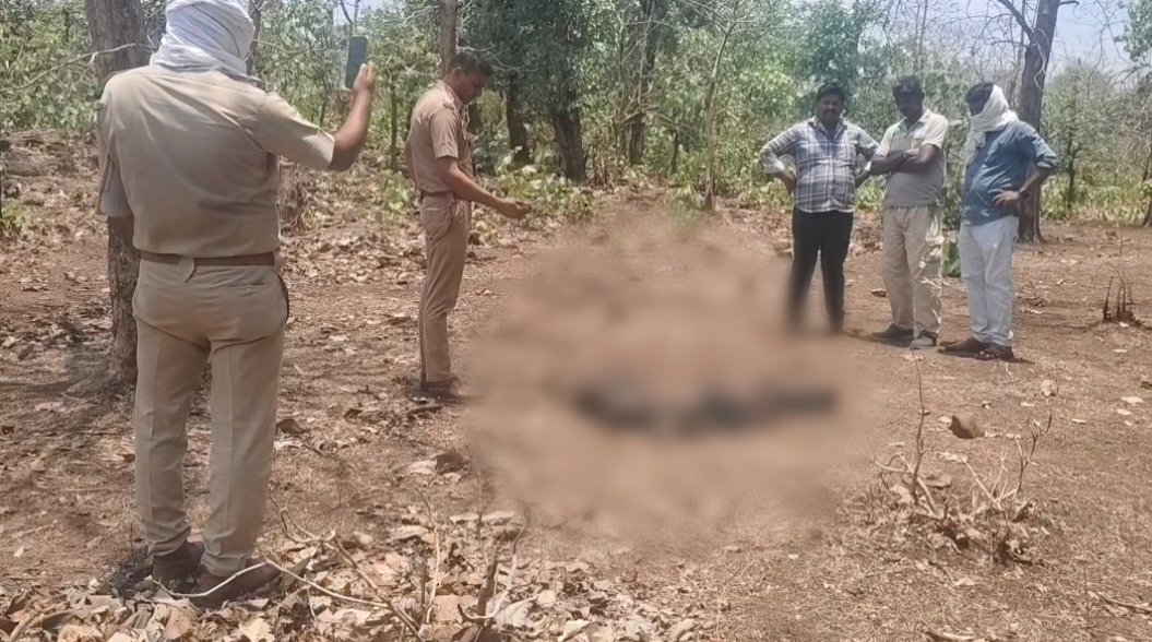 रातातलाई फॉरेस्ट में मानव कंकाल की जानकारी मिलने पर जांच करते हुए पुलिस।