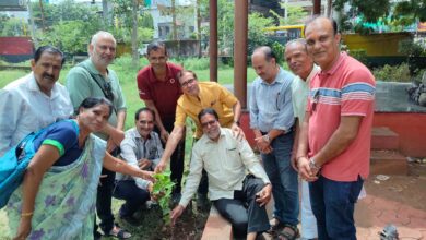 देवास में 'एक पेड़ मां के नाम' अभियान के तहत जन्मदिन पर पौधारोपण करते वरिष्ठ नागरिक संस्था के सदस्य।