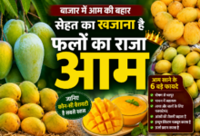 बाजार में छाए रसीले आम, जानिए कौन-सी Variety है सबसे खास