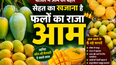 बाजार में छाए रसीले आम, जानिए कौन-सी Variety है सबसे खास