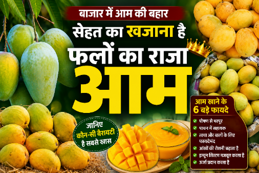 बाजार में छाए रसीले आम, जानिए कौन-सी Variety है सबसे खास