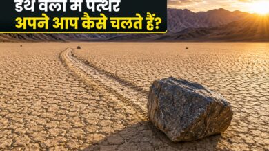 डेथ वैली की सूखी झील में पीछे लंबी लकीर छोड़ता हुआ बड़ा पत्थर