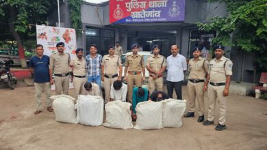 देवास पुलिस द्वारा 71 किलो गांजा जब्त