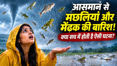आसमान से मछलियां और मेंढक गिरने की रहस्यमयी प्राकृतिक घटना