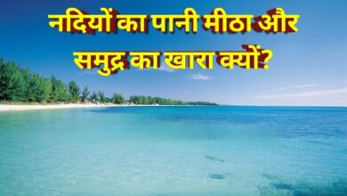 समुद्र की लहरों और नीले पानी का सुंदर दृश्य