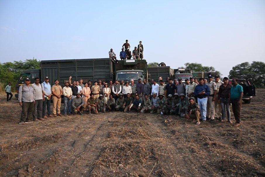 शाजापुर कृष्ण मृग रेस्क्यू अभियान